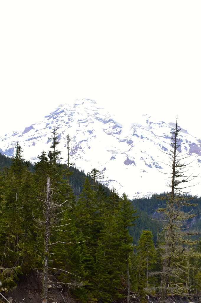 Mt. Rainier--Washington.